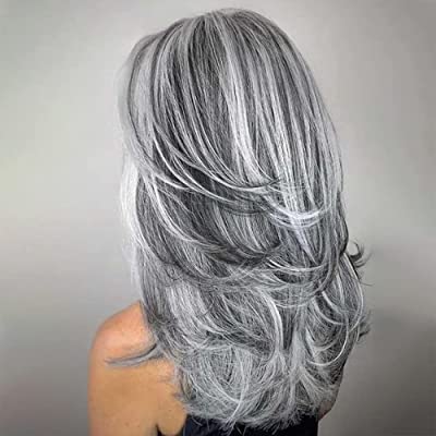 Long Layered Wig